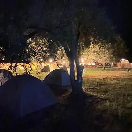 Olive مكان تخييم