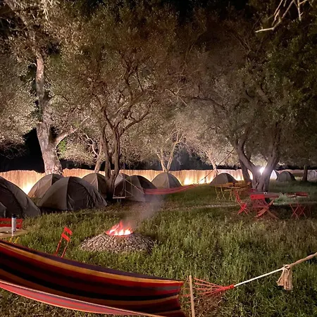 Olive Camping