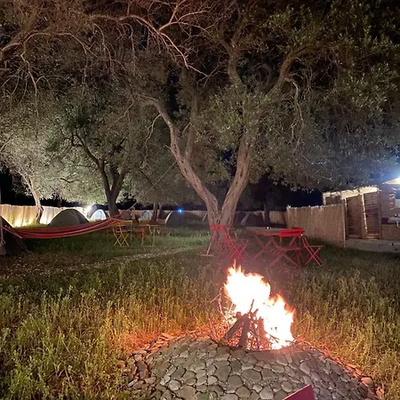 Olive مكان تخييم بورش