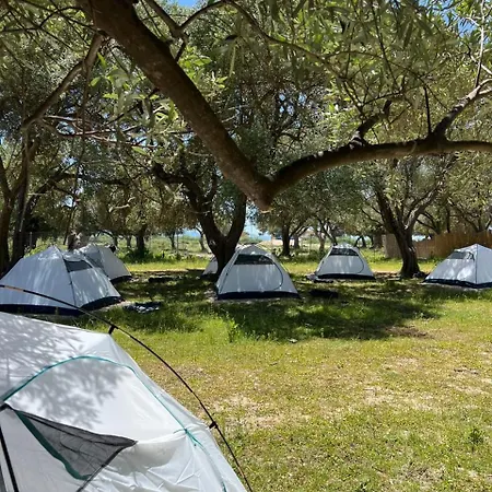 Olive Camping *