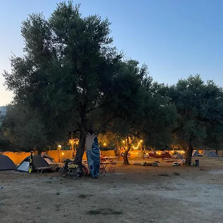 Olive مكان تخييم *