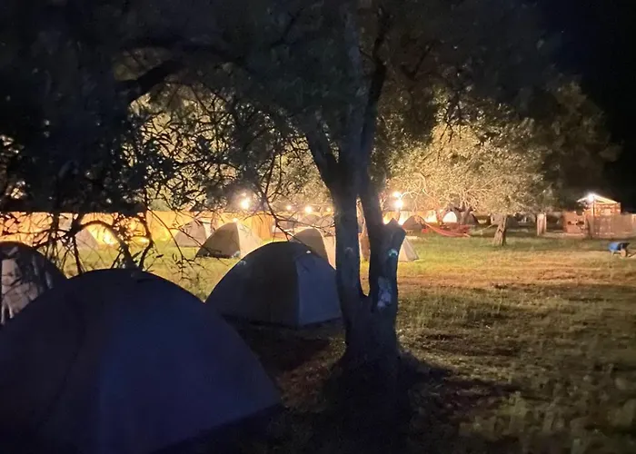 Olive Parque de Campismo