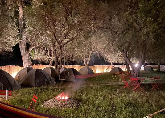 Olive Parque de Campismo