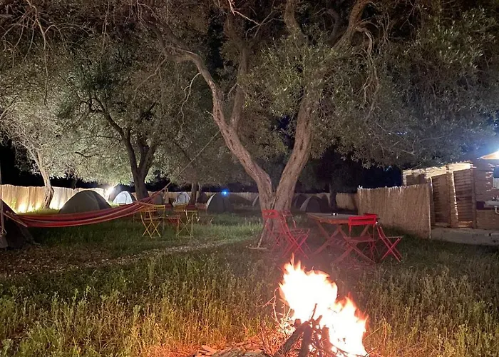 Olive Parque de Campismo Borsh