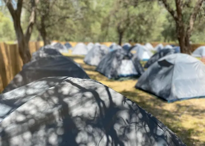 Parque de Campismo Olive *