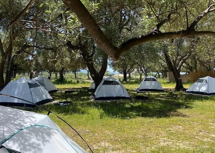 Olive Parque de Campismo *