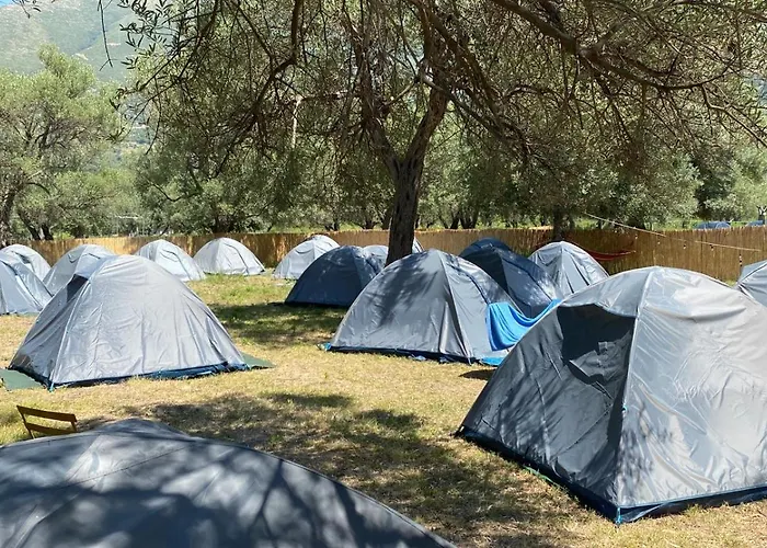 Olive Parque de Campismo