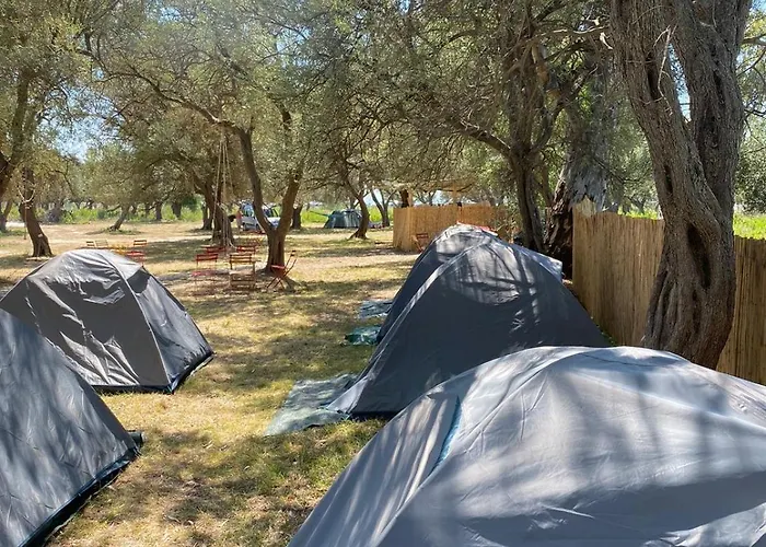 Olive Parque de Campismo Borsh