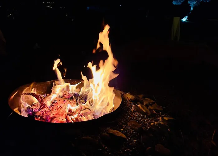 Parque de Campismo Olive Borsh