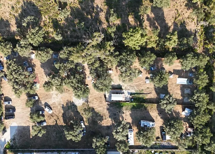 Olive Parque de Campismo Borsh