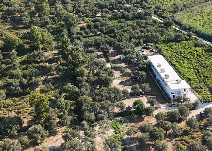 Parque de Campismo Olive Borsh