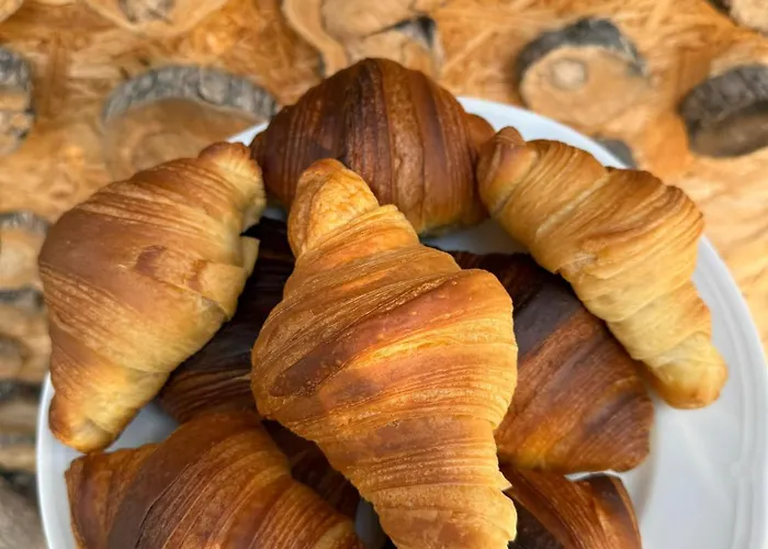 Parque de Campismo Olive Borsh