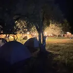 Olive Campingplatz