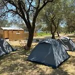 Kamp alanı Olive *
