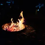 Camping Olive Borsh