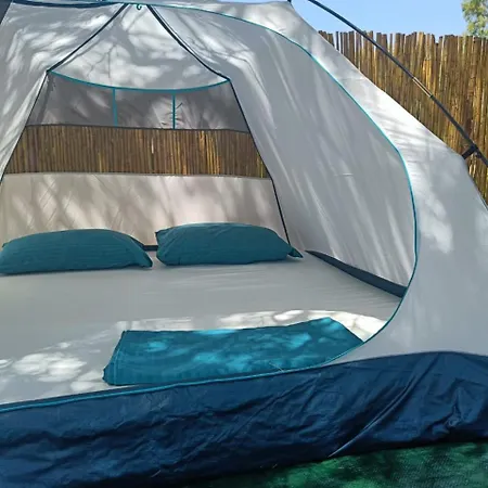 Campingplads Olive Borsh