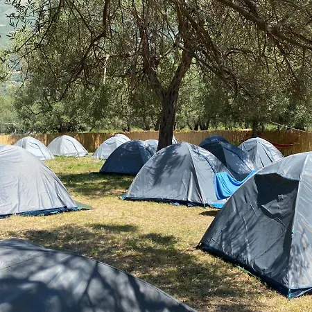 Olive Campingplatz