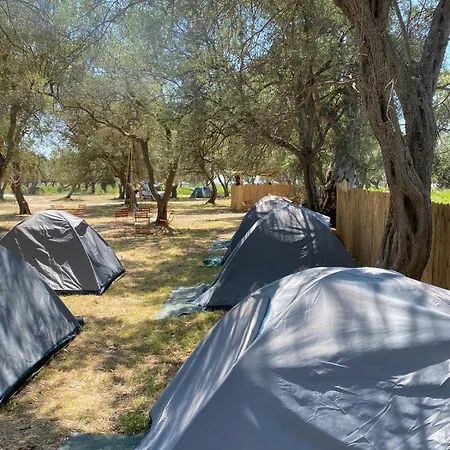 Olive Parque de Campismo Borsh