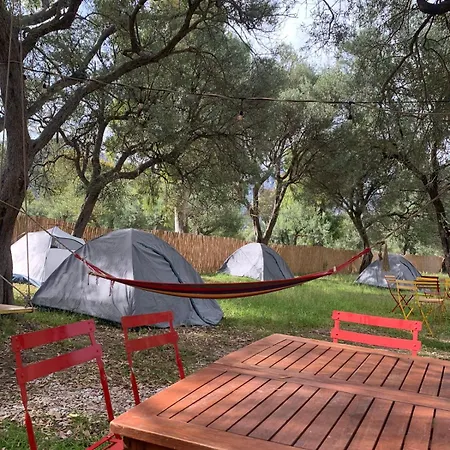 Parque de Campismo Olive Borsh