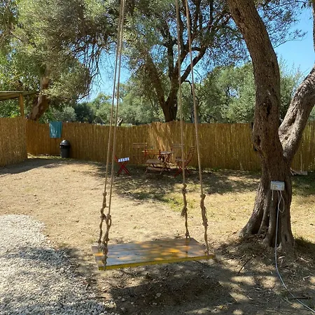 Campeggio Olive *