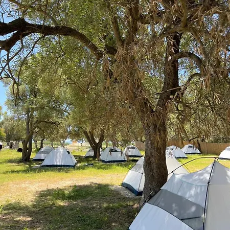 Olive Parque de Campismo