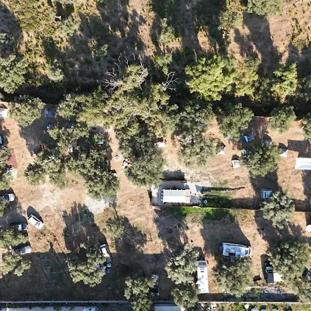 Olive Parque de Campismo Borsh