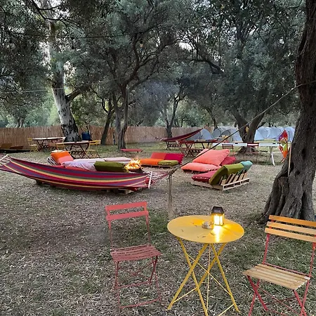 Parque de Campismo Olive Borsh