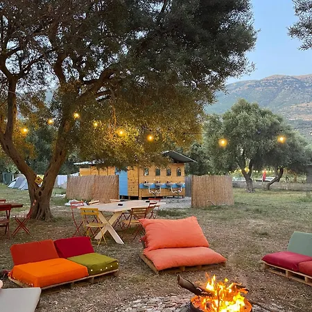 Olive Parque de Campismo Borsh