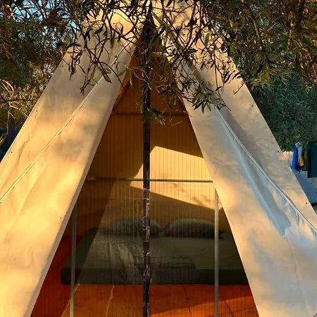 Olive Campingplatz Borsh